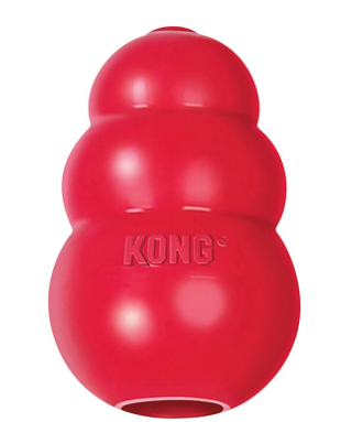 Kong dog toy